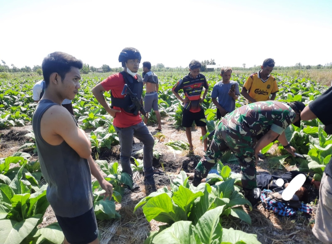 Screenshot_20220812-140523_WhatsApp